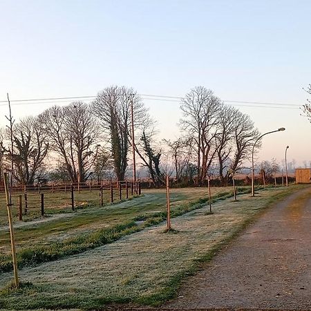 Le Gite Du Galou Sully  Zewnętrze zdjęcie