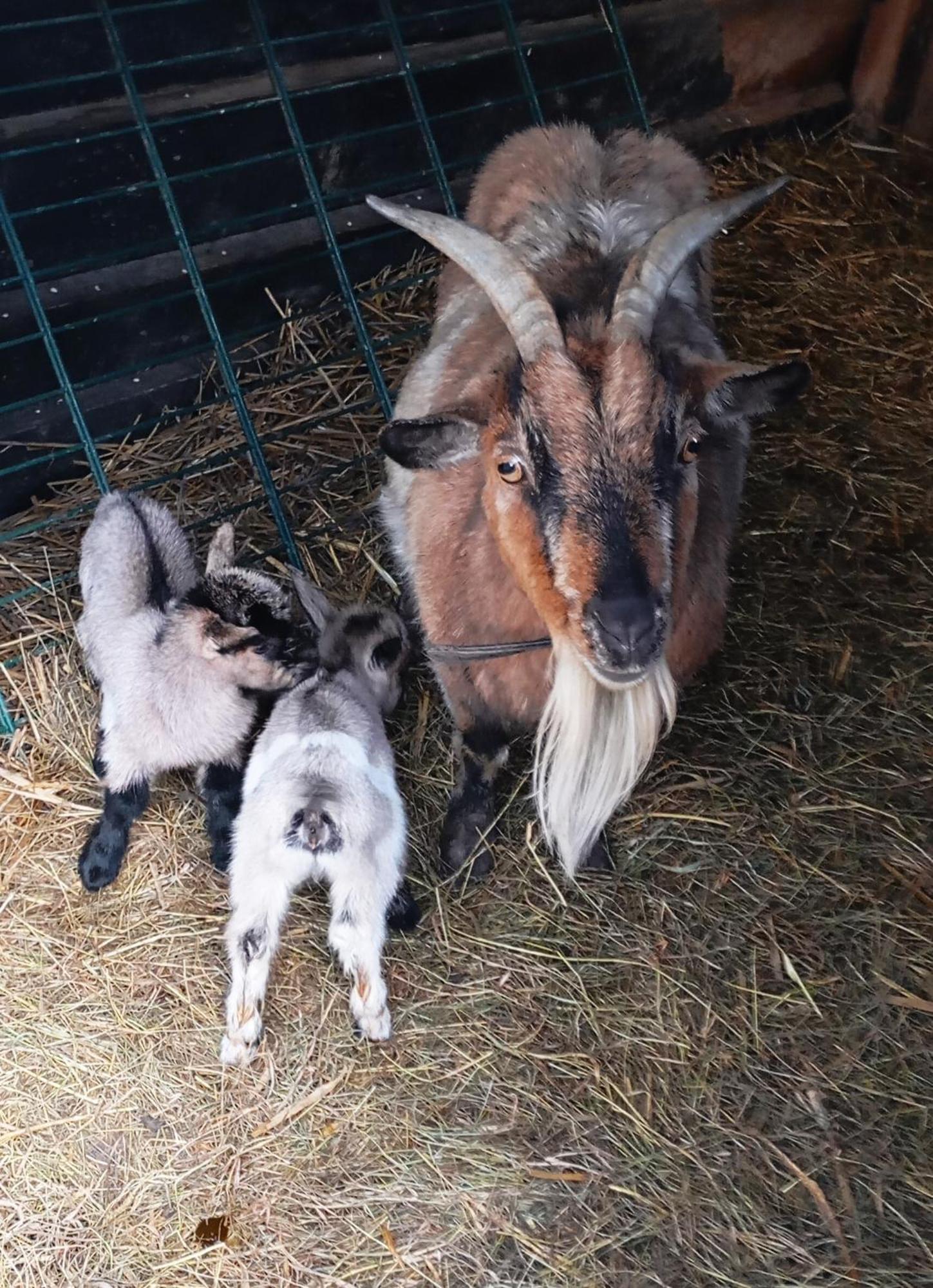 Le Gite Du Galou Sully  Zewnętrze zdjęcie